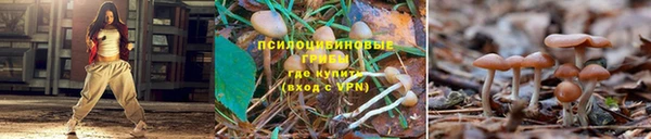 кокаин перу Медвежьегорск