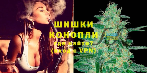 сатива Мегион