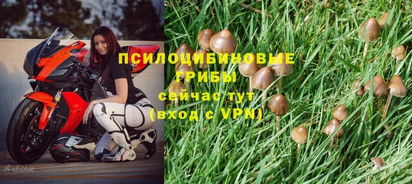 прущая мука Медногорск