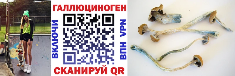 Галлюциногенные грибы GOLDEN TEACHER  Купить  Сасово 